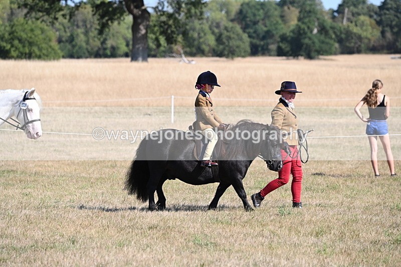 WJ6_7392 - Class 34 Judges Choice