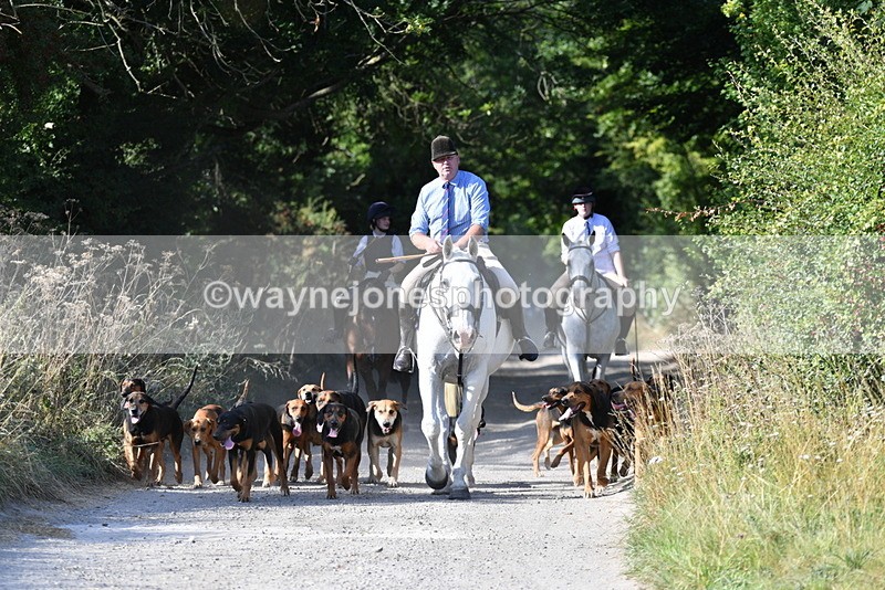 WJ5_4779 - Walk out with the hounds