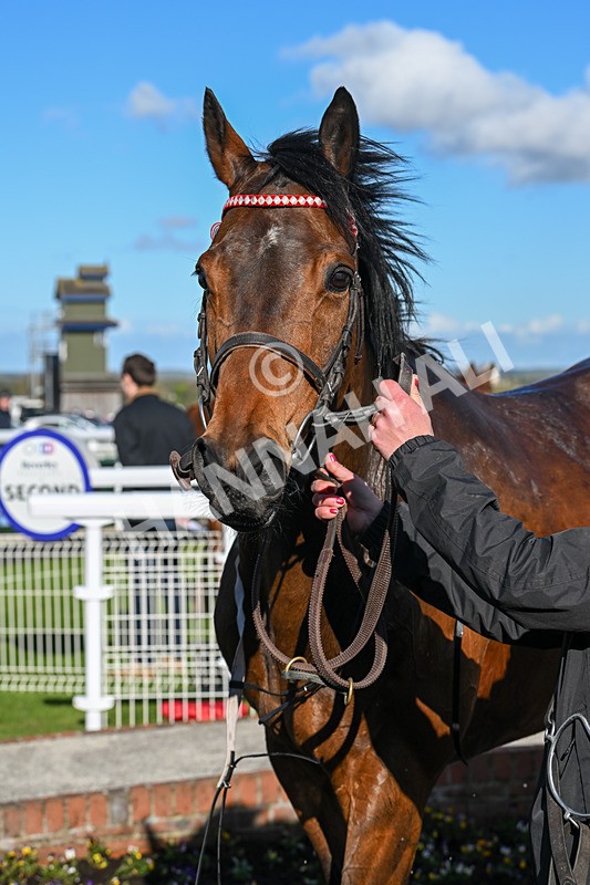 250424-Race 6-Wheres Jeff-1848 - Race 6