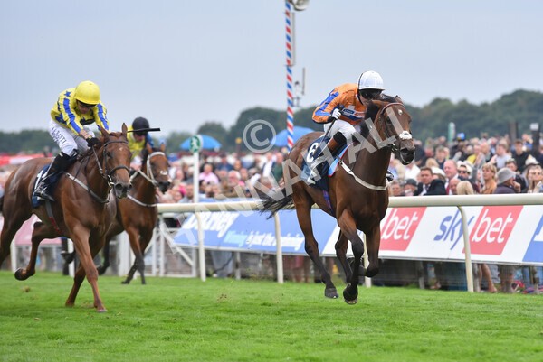 yr18082022r7-29 - Race 7 5.20pm British Stallion Studs EBF Fillies' Stakes