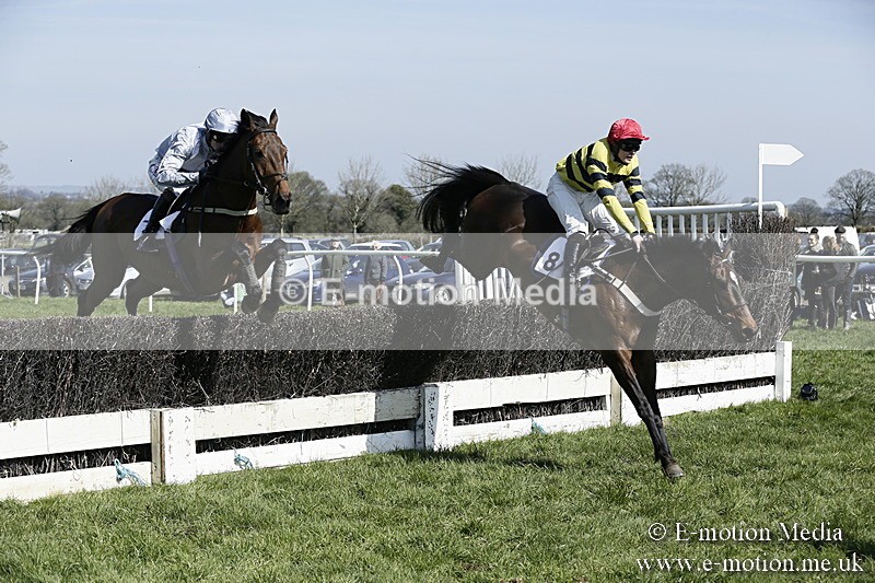 PtP 260317 55 - Mendip Farmers Point-to-Point Ston Easton 26/03/17