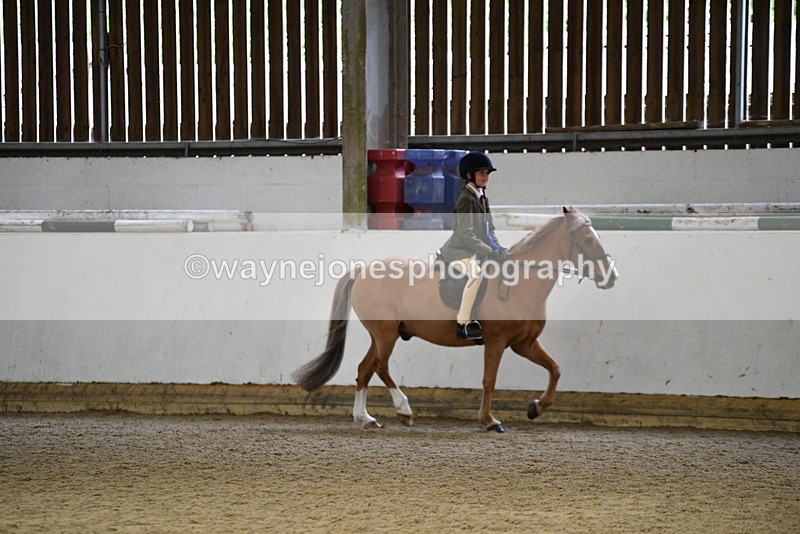 WJ5_7397 - Class 11 Ridden PC - RC Pony