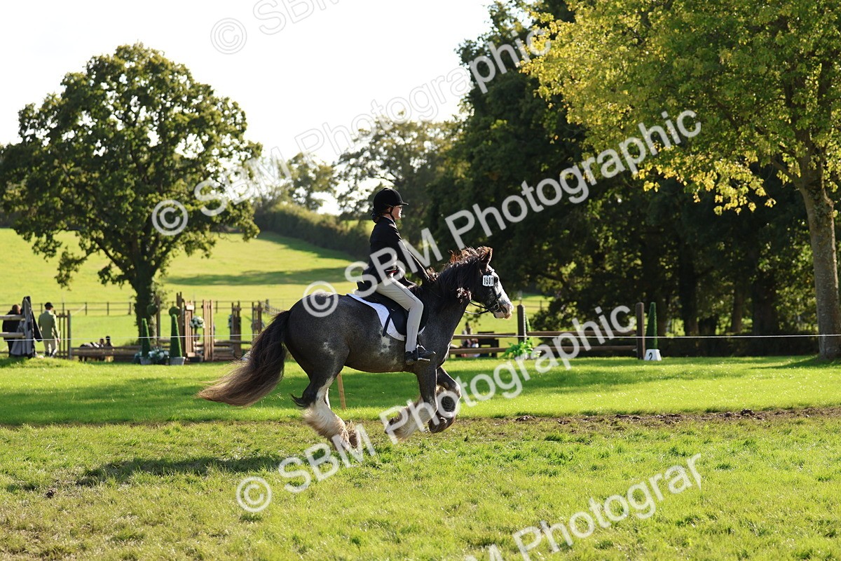 SBM_52421 - S13 - Pony Club Pony