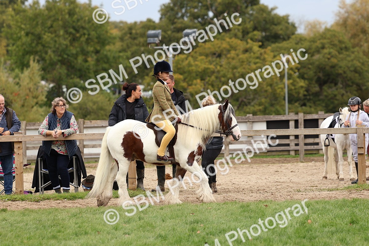 SBM_64394 - S58 - Coloured Pony Ridden