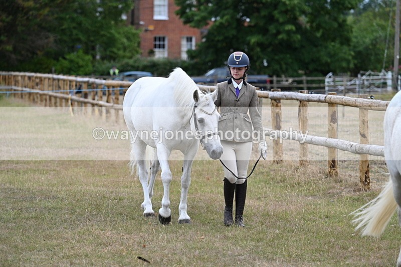 WJ7_9035 - Class 4a Prettiest Mare 14.2hh and over