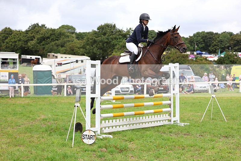 3E7A7274 - Class 5: Senior British Novice/90cm open