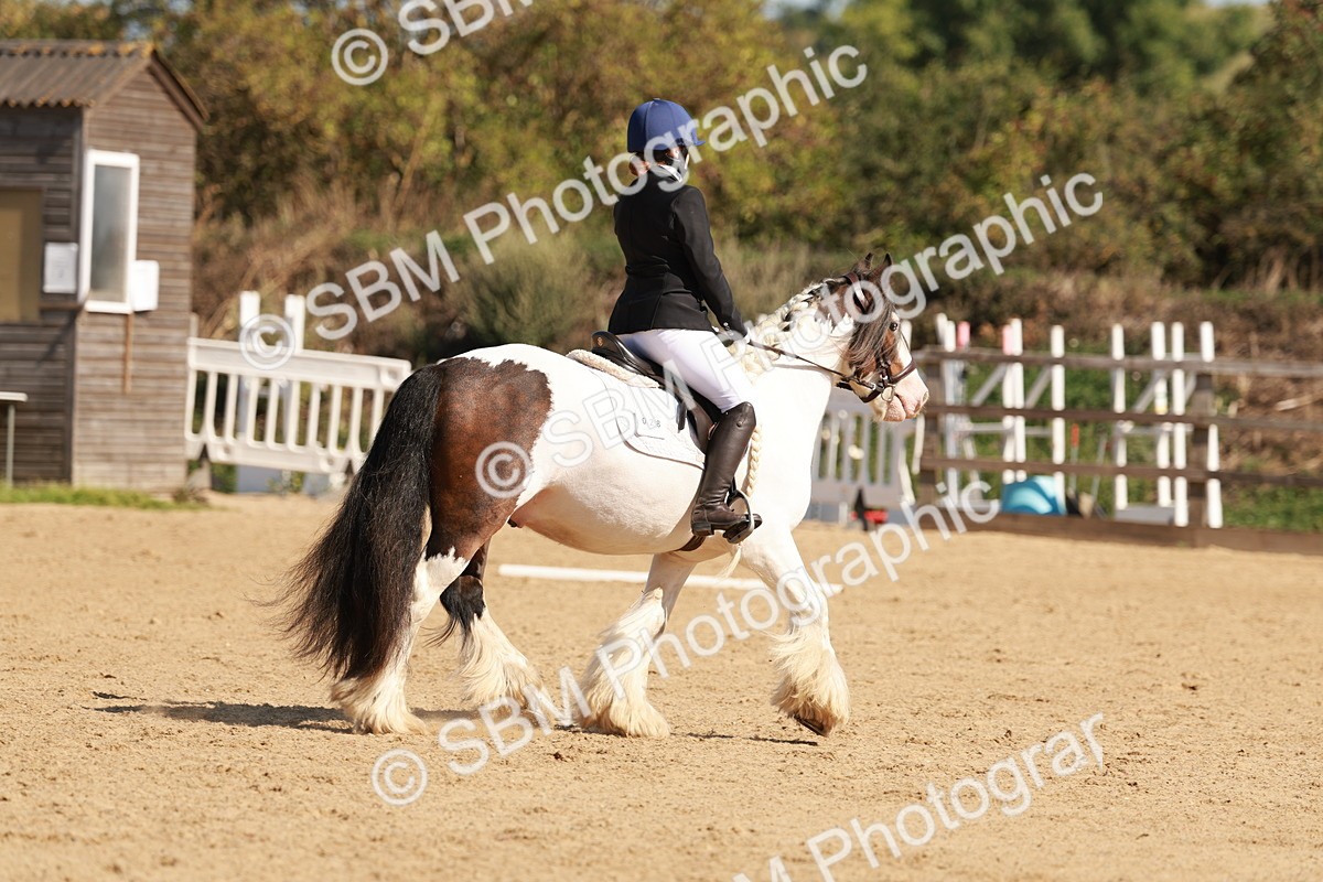 SBM_010428 - Class 3 - Prelim 2