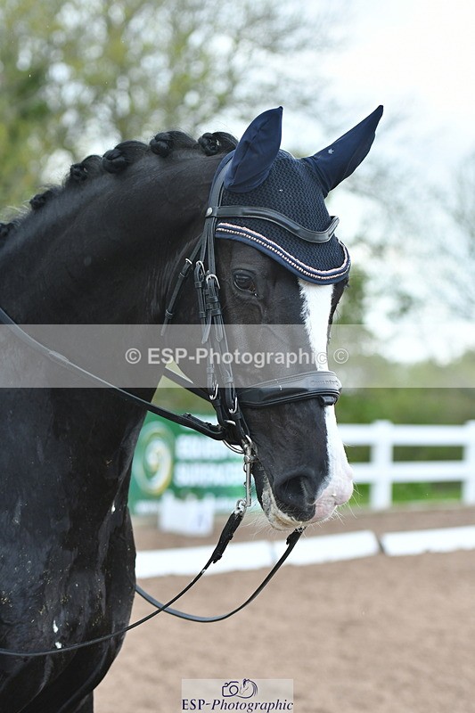 230511A-162753-01379 - BD Cls 18 FEI PSG