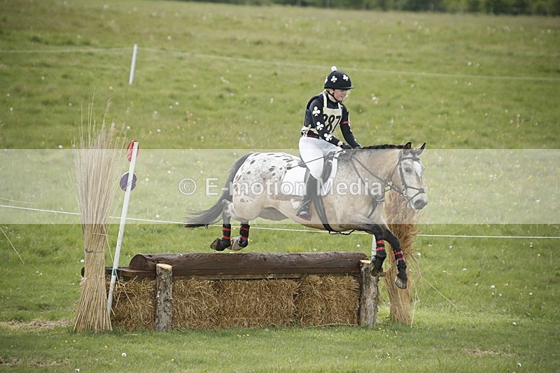 BVHT 140517  NXC -148 - Class 2 XC Novice 14/05/17