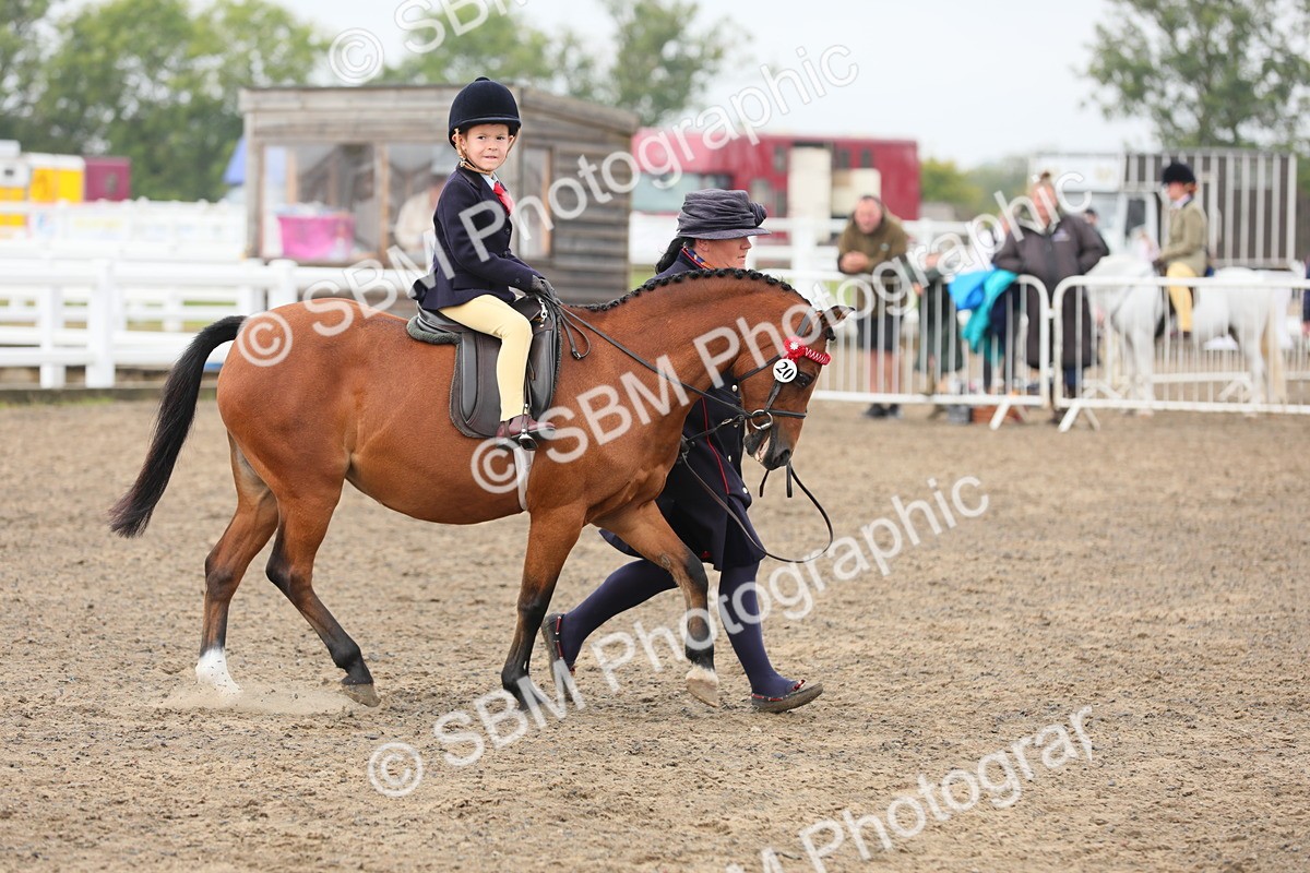 SBM_21777 - Class 806 - Young ridder 10 Yr & Under