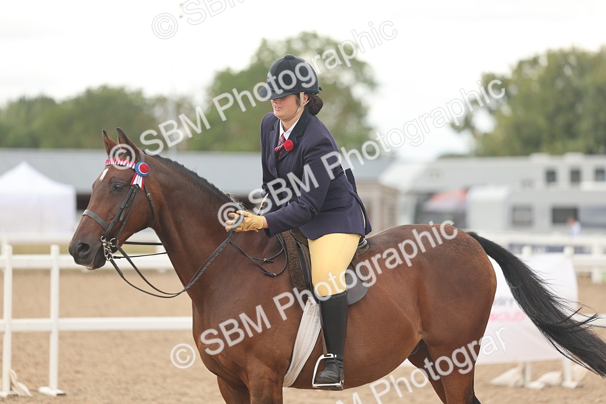 SBM_16054 - Class 311 - Ridden Show pony-Show hunter Pony