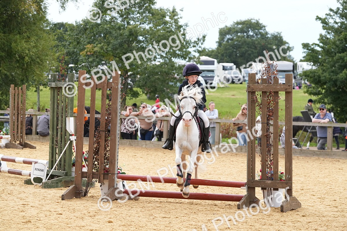 SBM_70609 - J3 - Mini Tour Junior Pony 40cm Championship