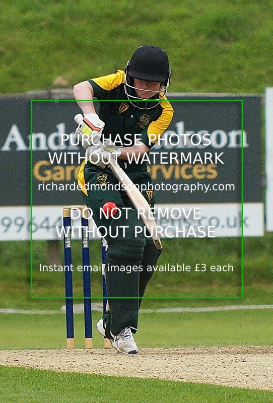 DSC01228 - Cumbria Womans Twenty-20