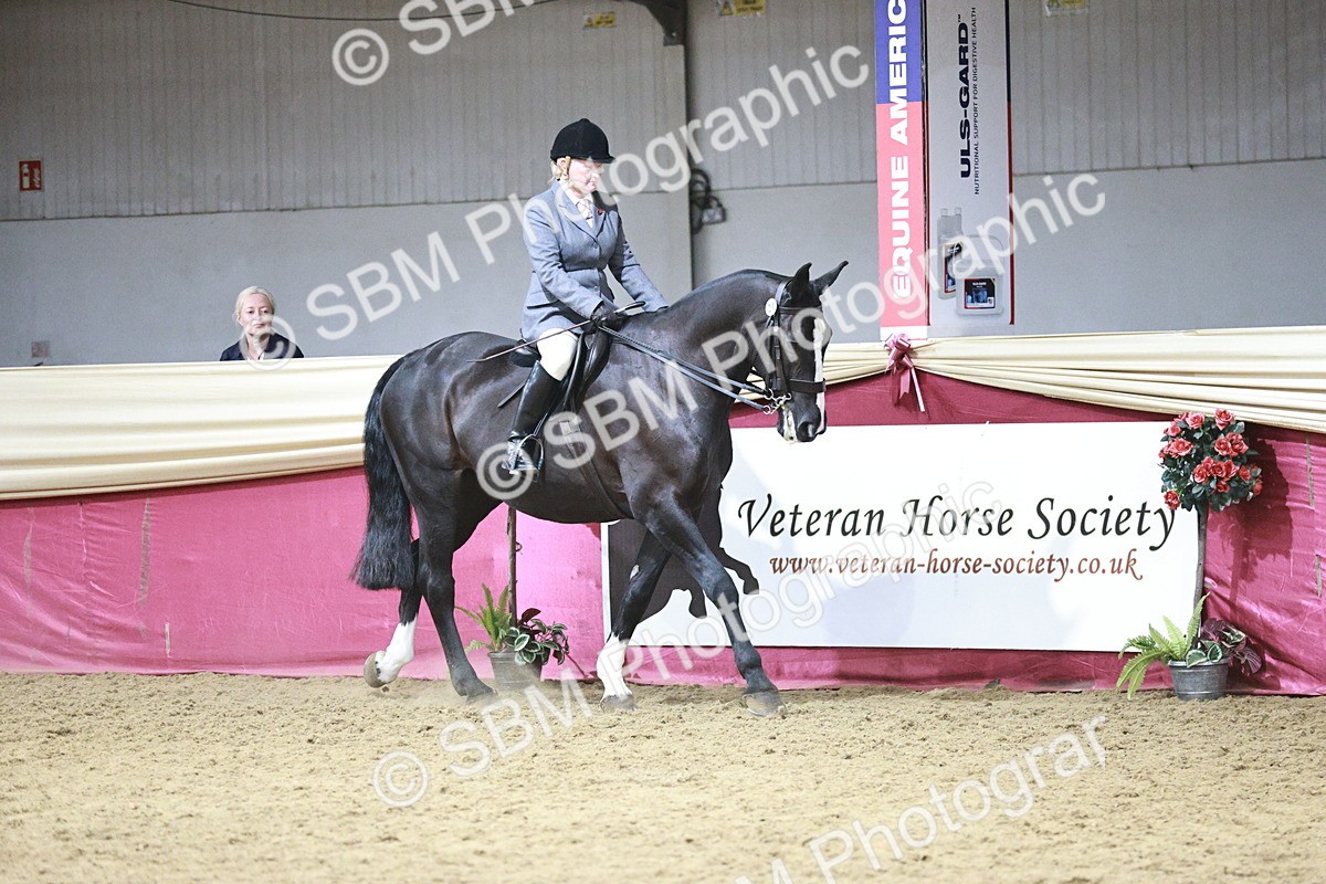 SBM_08001 - Class 11R - Regional Ridden Veteran