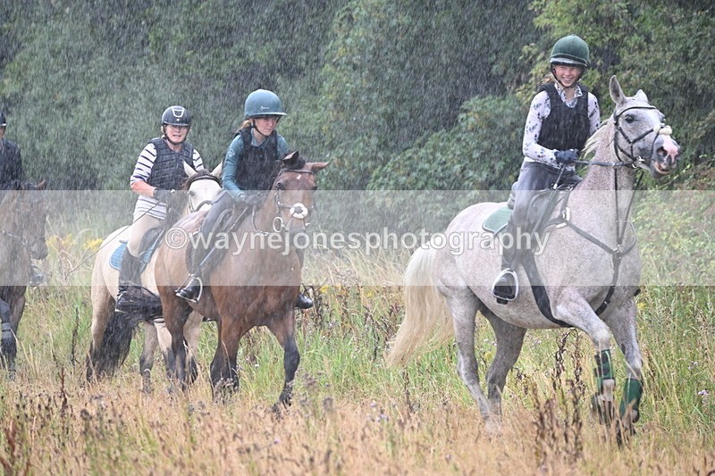 WJ6_1865 - Group 2