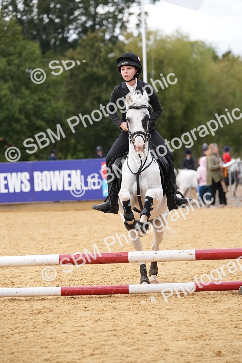 SBM_74797 - J4 - Mini Tour Junior Pony 45cm Championship