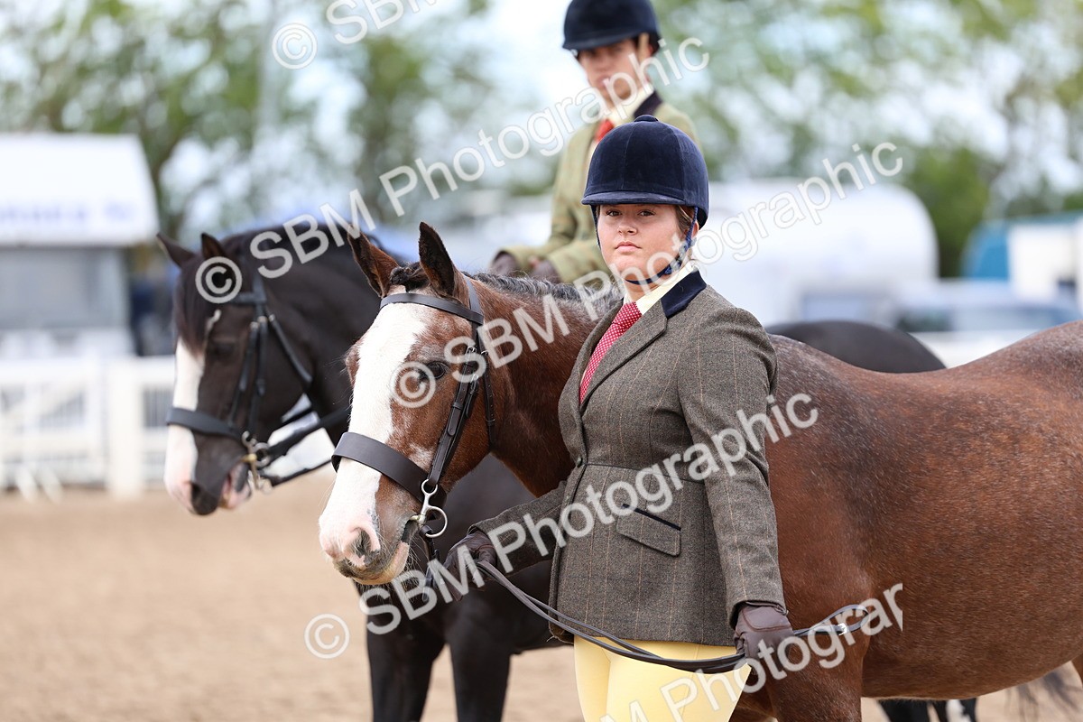SBM_01500 - Class 17 - Prettiest Mare