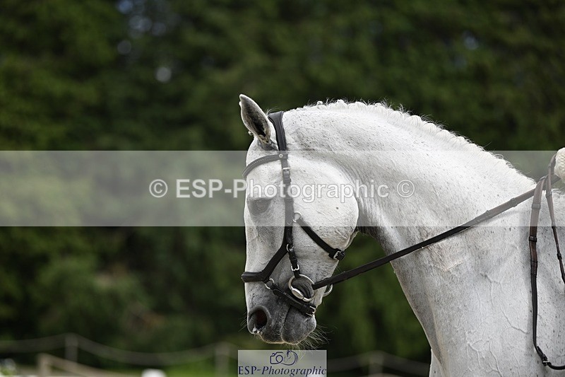 240523-143115-05030 - 432-EKOW-Adriaan_Smeulders