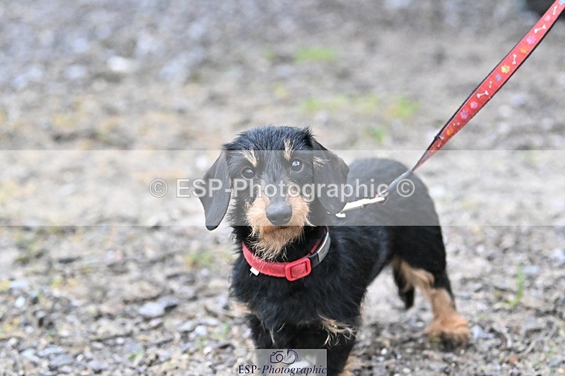 241206-144222-01125 - Naomi