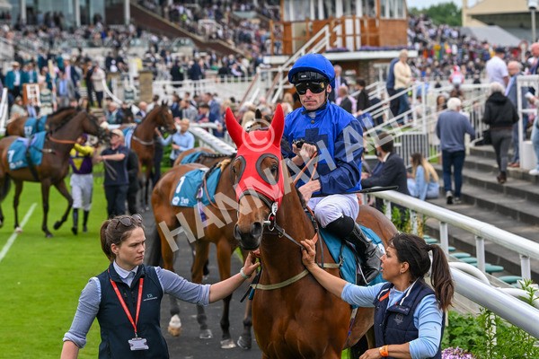 250524-Race 5-Burdett-3789 - Race 5 3.55pm William Hill Epic Boost Handicap