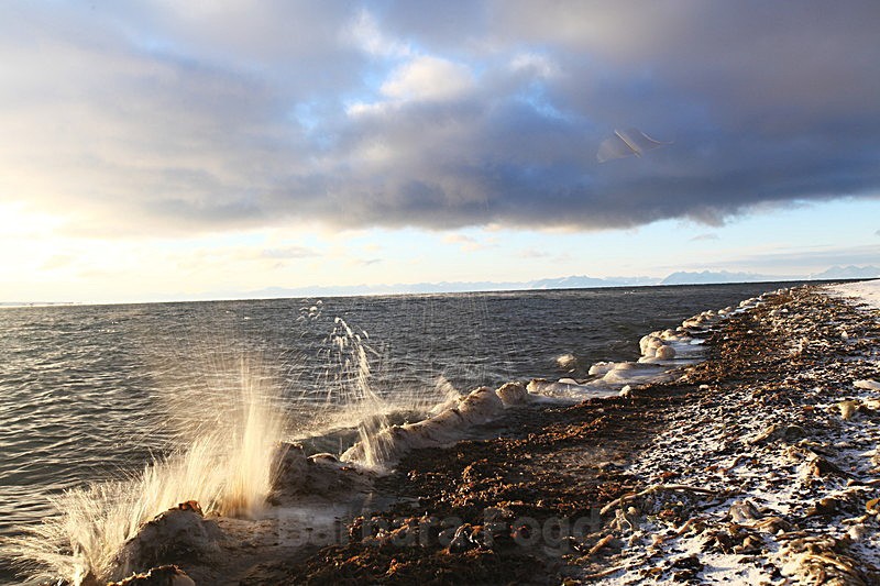 Winter 5 - Latest Photos