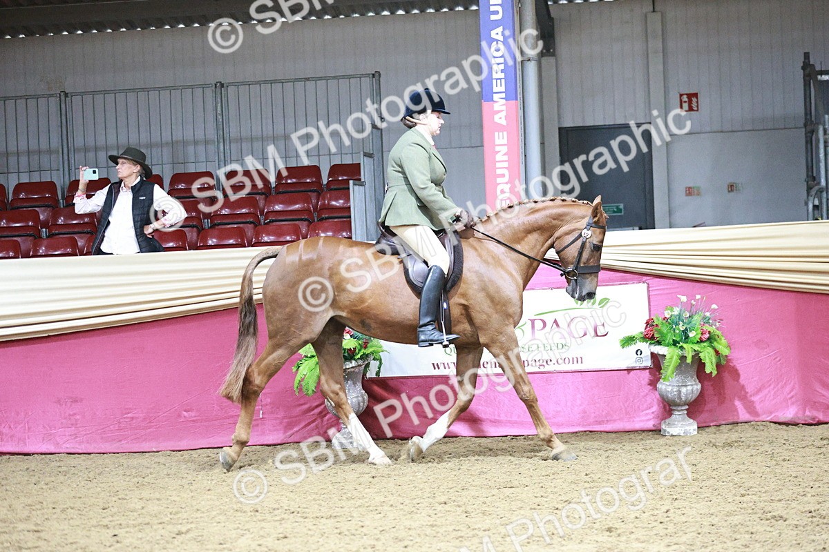 SBM_03336 - Class 6A Area Ridden Pre-Vet
