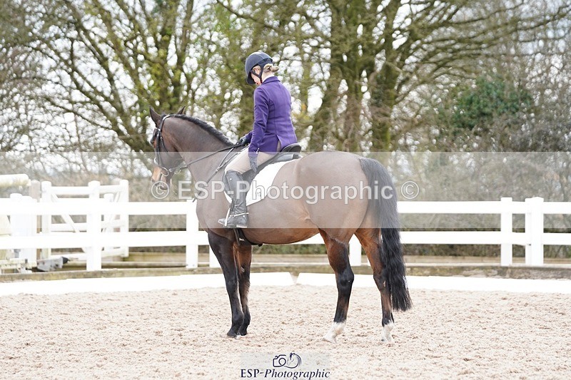 250322-120634-00294 - DR Novice 2 Test