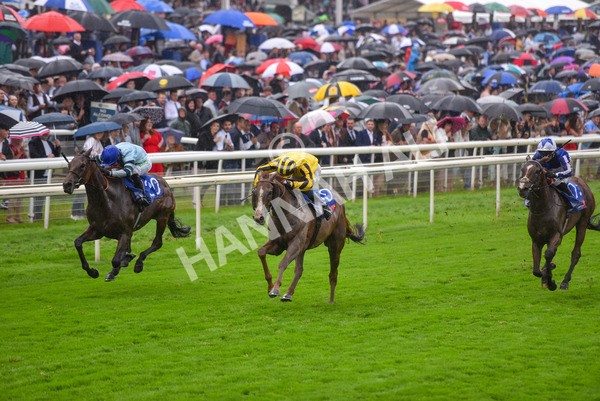 yr21082021r4-76 - Race 4 3.35pm Sky Bet Ebor