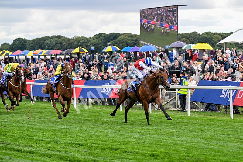210826-Race 1-Blue Courvoisier-4963 - Race 1 13.50pm Sky Bet Mile Handicap