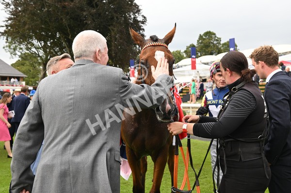 230825-297 Dain Ma Nut In - Race 7 5.20pm Sky Bet Steve Birch Finale Handicap