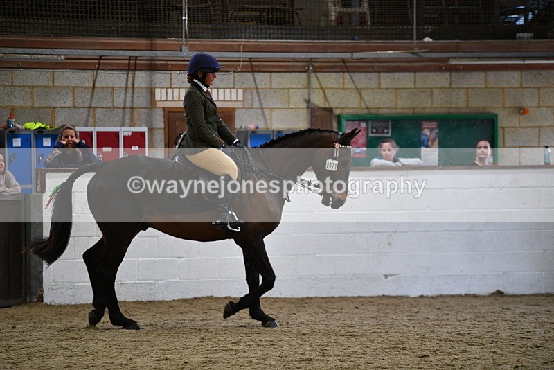 WJ5_7979 - Class 13 Ridden Part Breed