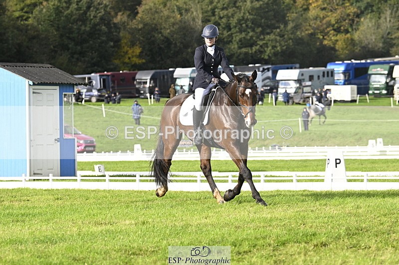 251023A-150207-04488 - E-385-Delilah.Wood