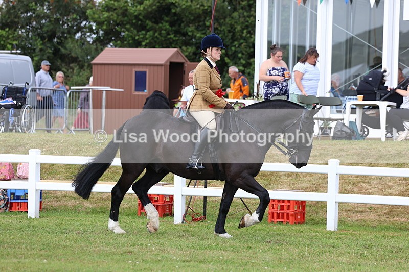 3E7A0466 - Rising Star Ridden Championship