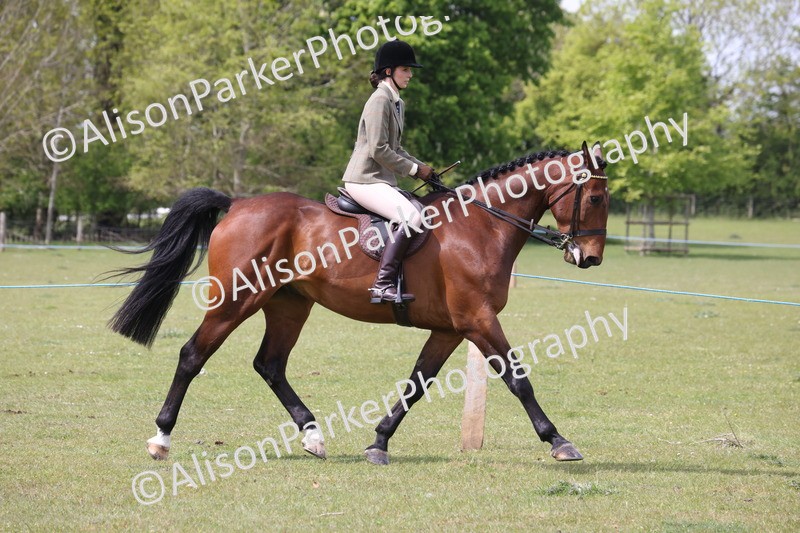 20260426-4315 - Class 34 - Best Riding Horse Over 14.2hh