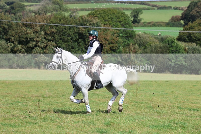 3E7A6587 - Class 1: Trebudannon Open: Pheasant Feeder