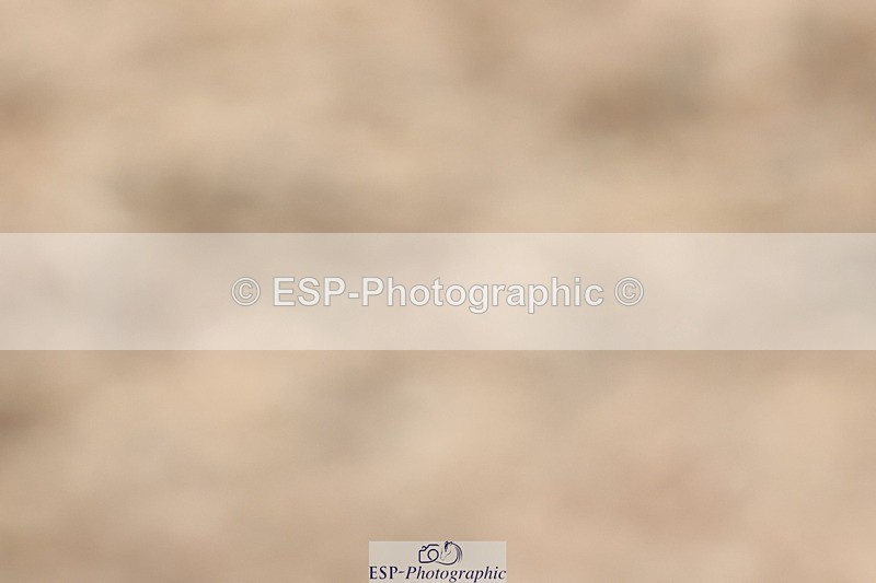 250622-160545-17365 - Cls 54 Medium 6 Inc Presentations