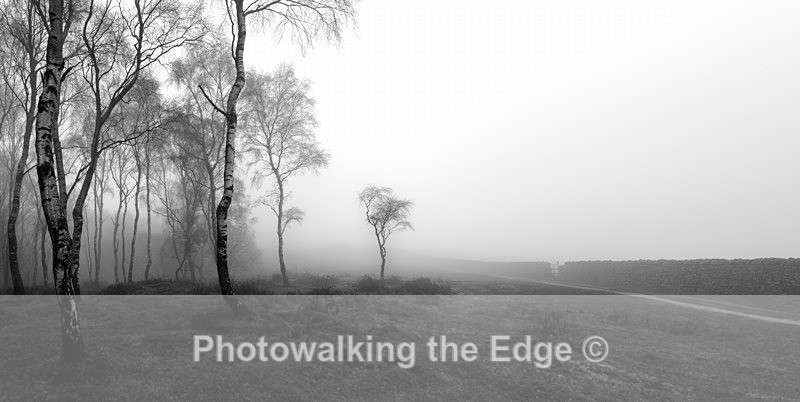 Misty Morning Eagle Rock - Latest Photos