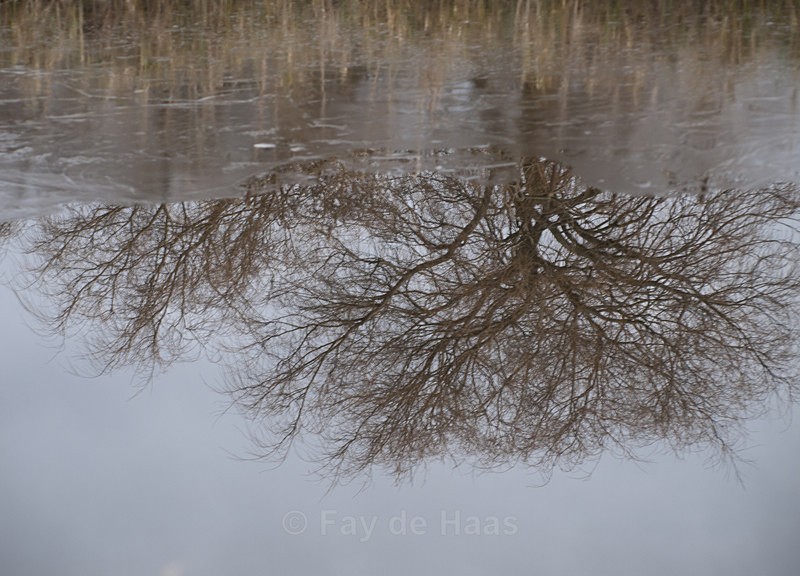  - Water gazing