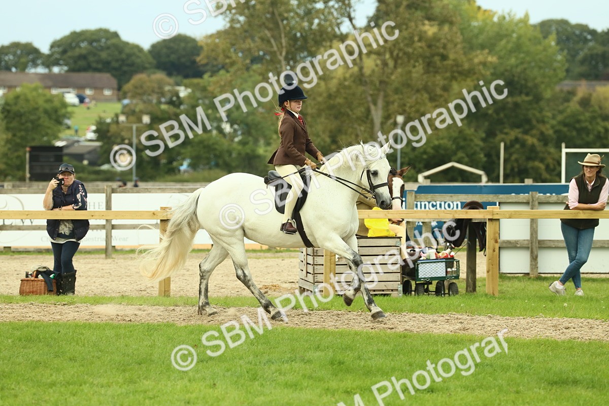 SBM_72019 - S60 - Mountain & Moorland Ridden Large Breeds