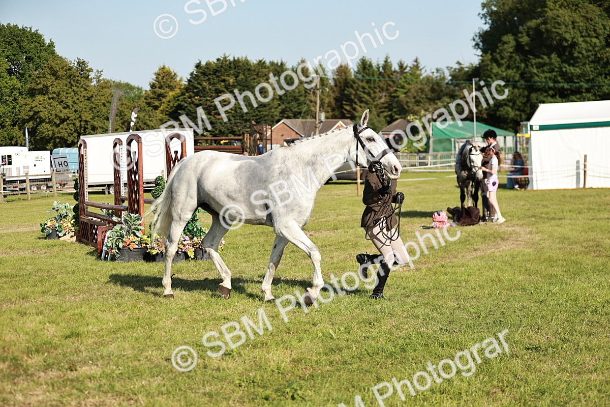 SBM_20030 - Class 115-116 - LIHS BSHA Rising Star Working Hunter & Show Horse