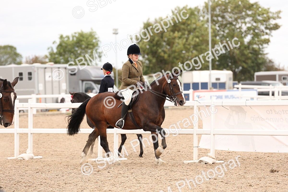 SBM_19532 - Class 215 - Ridden Show cob