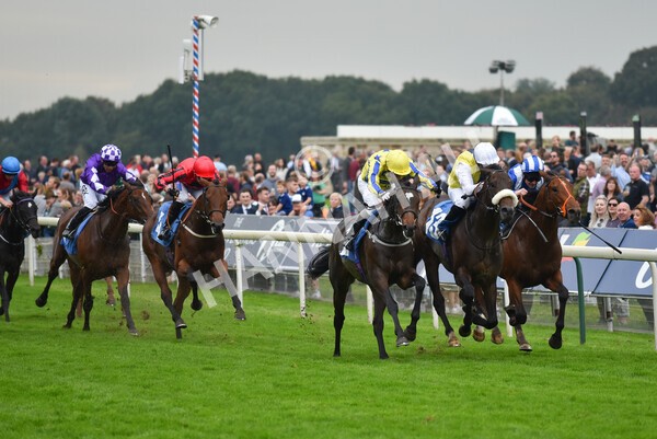 yr09102021r5-23 - Race 5 3.50pm Coral ebfstallions.com Novice Stakes