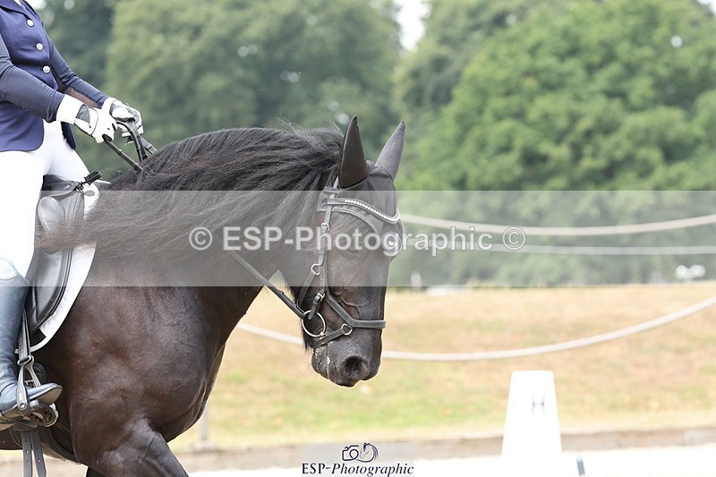 250718A-122157-01106 - 064-Marina.Greenaway-Hynholme.Gladiator