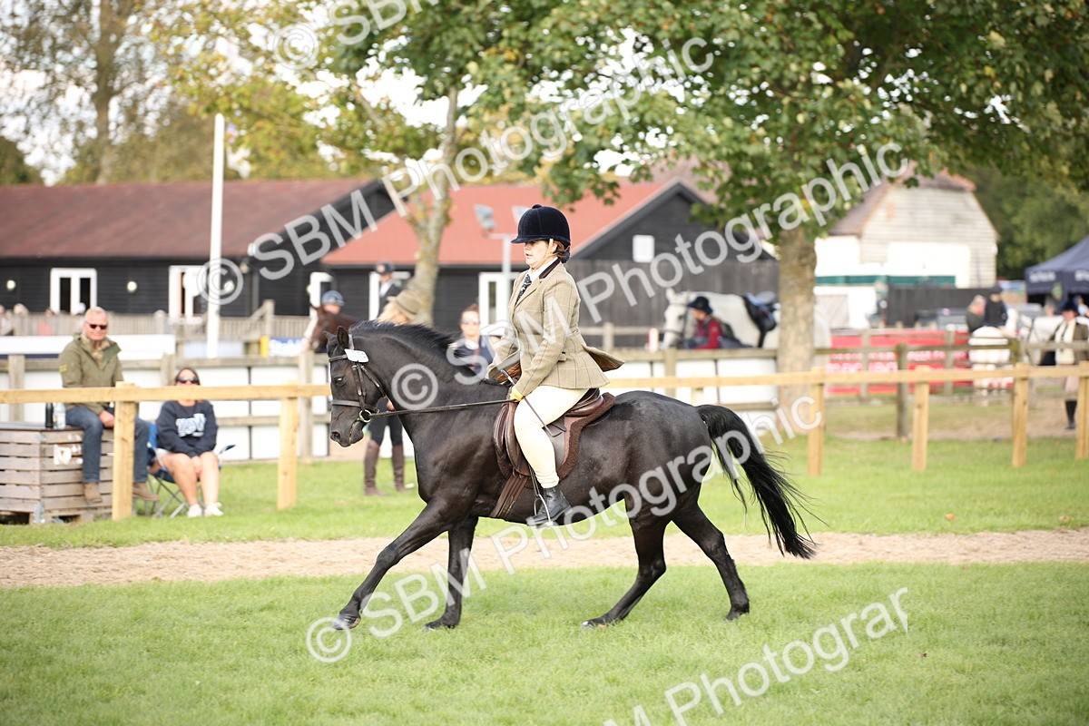 SBM_50161 - S26 - Young Veteran - Ridden