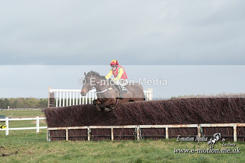 PtP 311223 565 - Larkhill Racing Club Point-to-Point 31/12/23