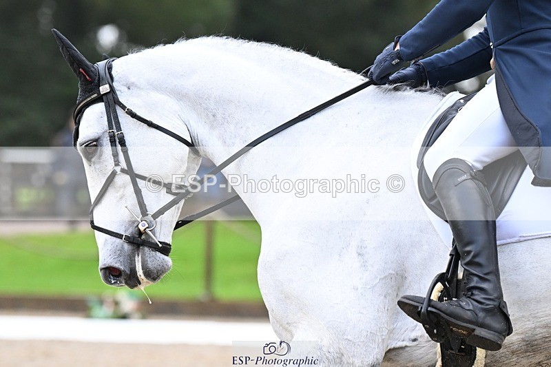 231019-094233-01189 - 027-IE.MR.MCGREGOR-Will.Furlong-DR