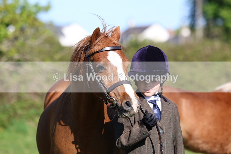 3E7A8390 - Class 12: M & M Small Breeds