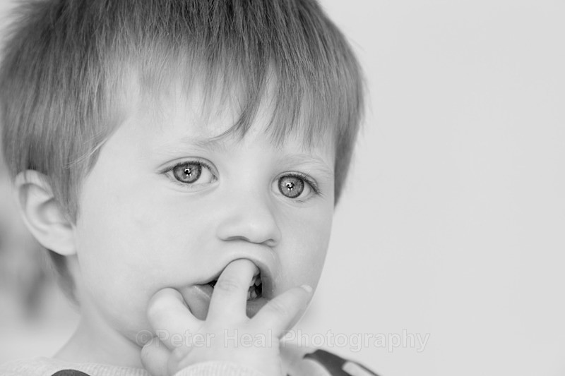  - Portraits