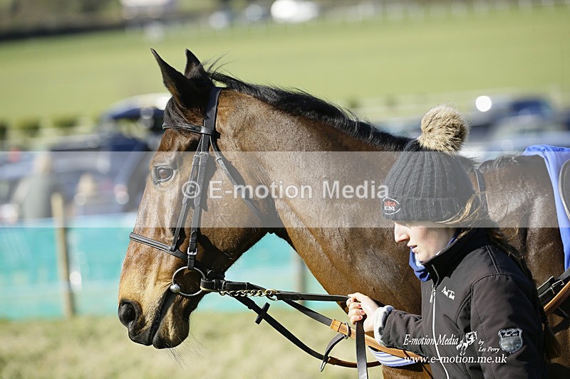 PtP 260222 297 - Kingston Blount Racing Club Point-to-Point 26/02/22