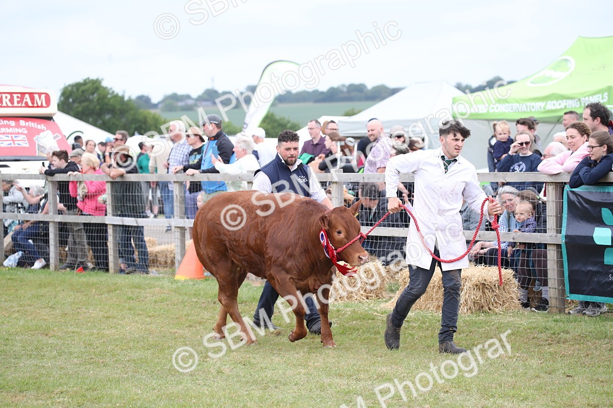 SBM_07813 - Grand Parade
